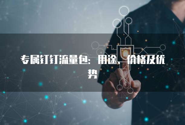 专属钉钉流量包:用途、价格及优势