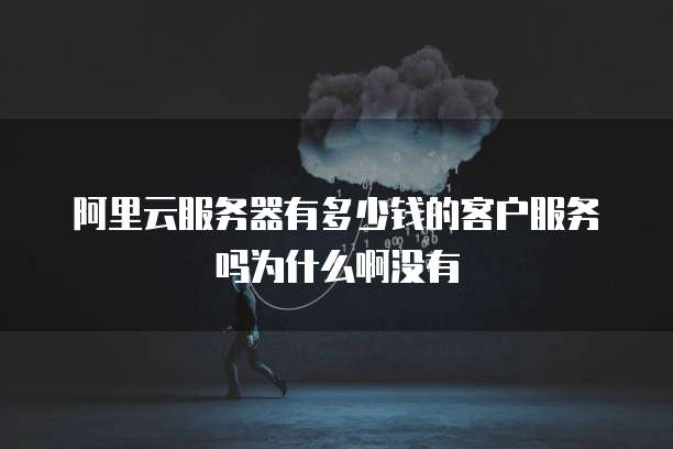 阿里云服务器有多少钱的客户服务吗为什么啊没有