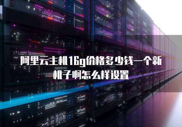 阿里云主机16g价格多少钱一个新机子啊怎么样设置