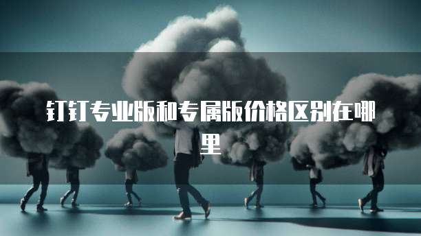 钉钉专业版和专属版价格区别在哪里