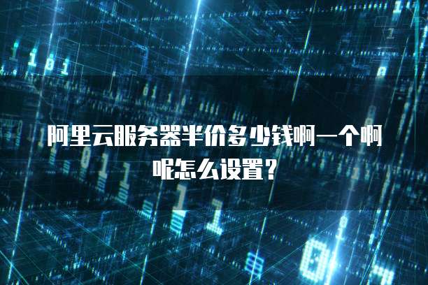 阿里云服务器半价多少钱啊一个啊呢怎么设置?