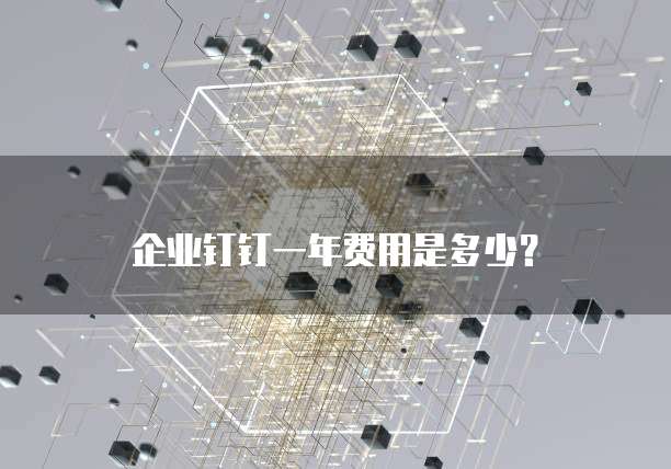 企业钉钉一年费用是多少？