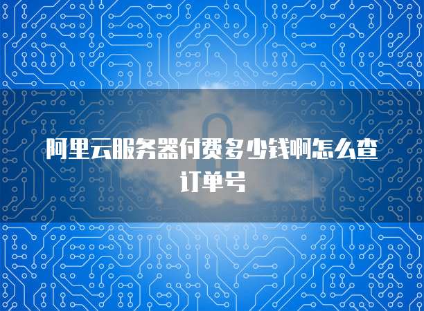 阿里云服务器付费多少钱啊怎么查订单号