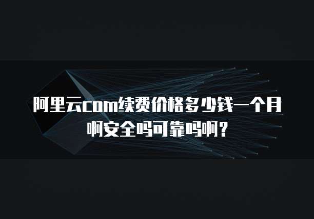 阿里云com续费价格多少钱一个月啊安全吗可靠吗啊?