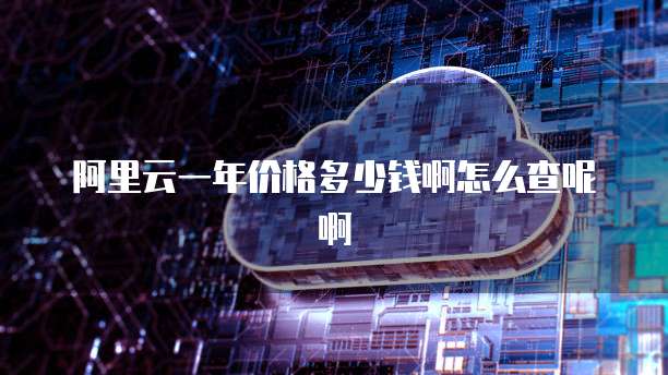 阿里云一年价格多少钱啊怎么查呢啊
