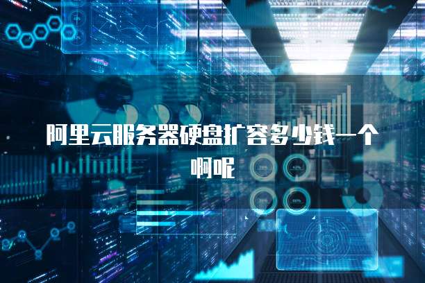 阿里云服务器硬盘扩容多少钱一个啊呢