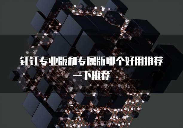 钉钉专业版和专属版哪个好用推荐一下推荐