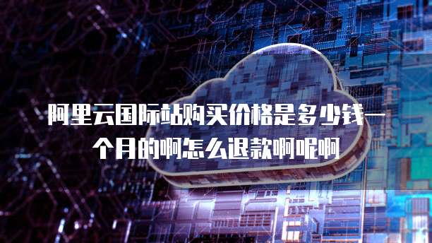 阿里云国际站购买价格是多少钱一个月的啊怎么退款啊呢啊
