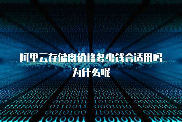 阿里云存储盘价格多少钱合适用吗为什么呢