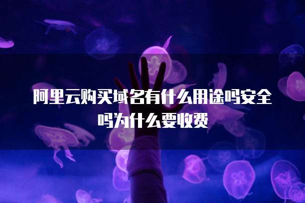 阿里云购买域名有什么用途吗安全吗为什么要收费