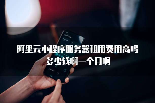 阿里云小程序服务器租用费用高吗多少钱啊一个月啊