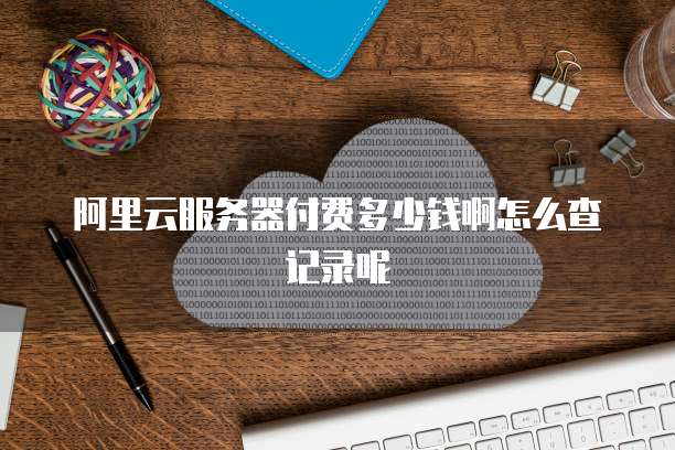 阿里云服务器付费多少钱啊怎么查记录呢