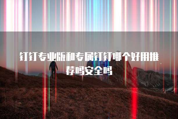 钉钉专业版和专属钉钉哪个好用推荐吗安全吗