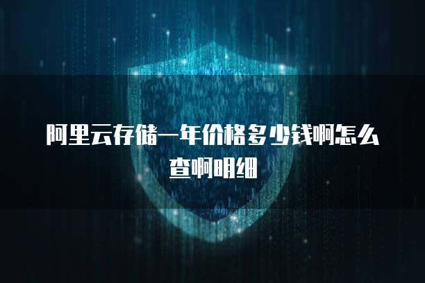 阿里云存储一年价格多少钱啊怎么查啊明细