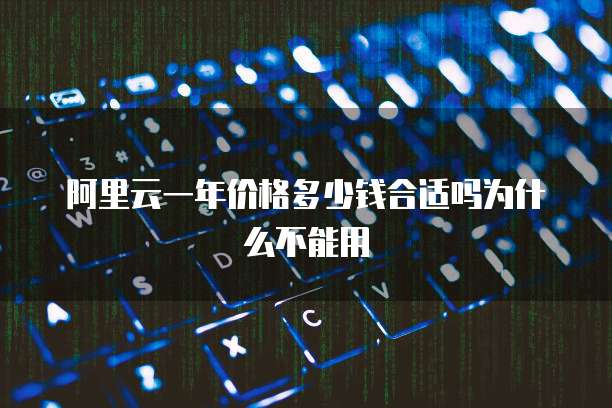阿里云一年价格多少钱合适吗为什么不能用