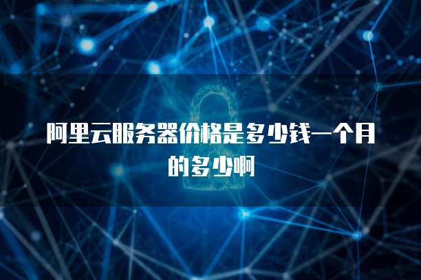 阿里云服务器价格是多少钱一个月的多少啊