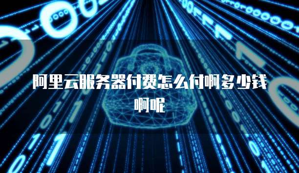 阿里云服务器付费怎么付啊多少钱啊呢