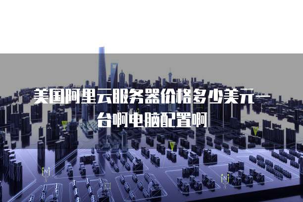 美国阿里云服务器价格多少美元一台啊电脑配置啊