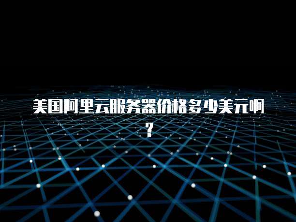 美国阿里云服务器价格多少美元啊?