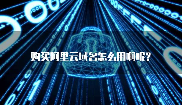 购买阿里云域名怎么用啊呢?