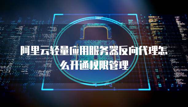 阿里云轻量应用服务器反向代理怎么开通权限管理
