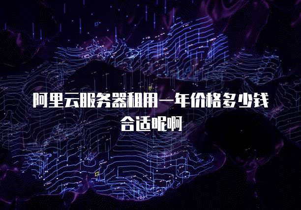 阿里云服务器租用一年价格多少钱合适呢啊