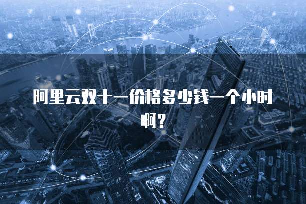 阿里云双十一价格多少钱一个小时啊?