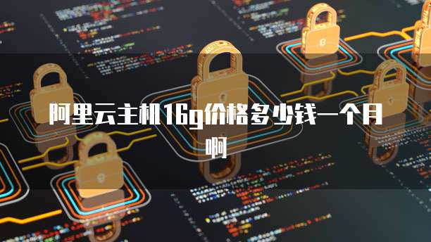 阿里云主机16g价格多少钱一个月啊