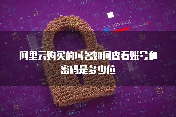 阿里云购买的域名如何查看账号和密码是多少位