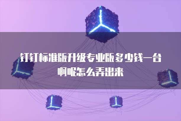 钉钉标准版升级专业版多少钱一台啊呢怎么弄出来