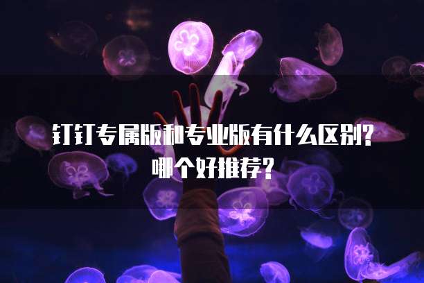 钉钉专属版和专业版有什么区别?哪个好推荐?