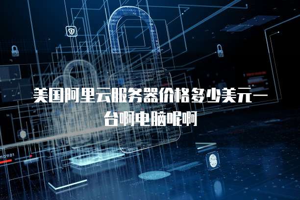 美国阿里云服务器价格多少美元一台啊电脑呢啊