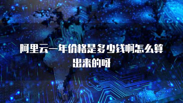 阿里云一年价格是多少钱啊怎么算出来的呀