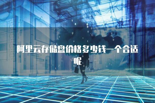阿里云存储盘价格多少钱一个合适呢