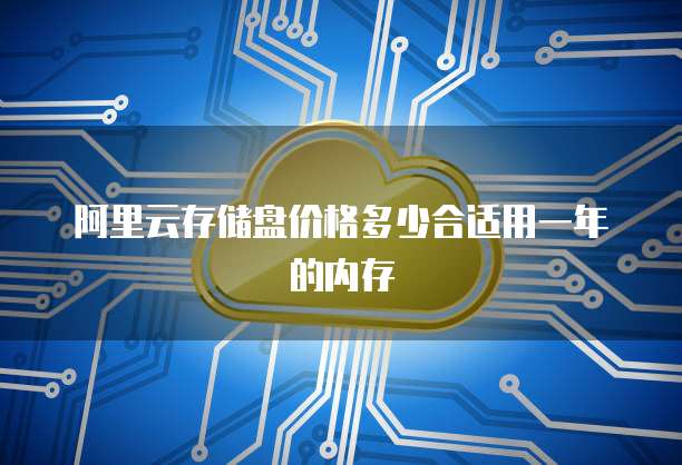 阿里云存储盘价格多少合适用一年的内存