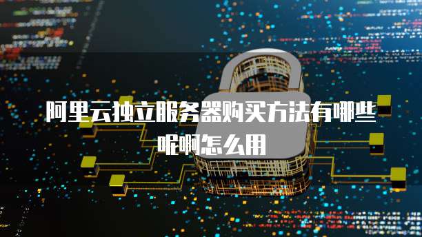 阿里云独立服务器购买方法有哪些呢啊怎么用