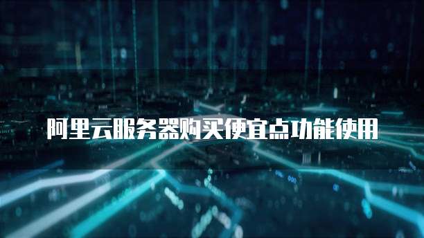 阿里云服务器购买便宜点功能使用