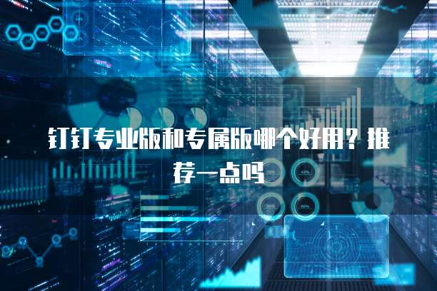 钉钉专业版和专属版哪个好用?推荐一点吗