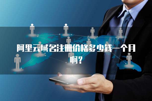 阿里云域名注册价格多少钱一个月啊?