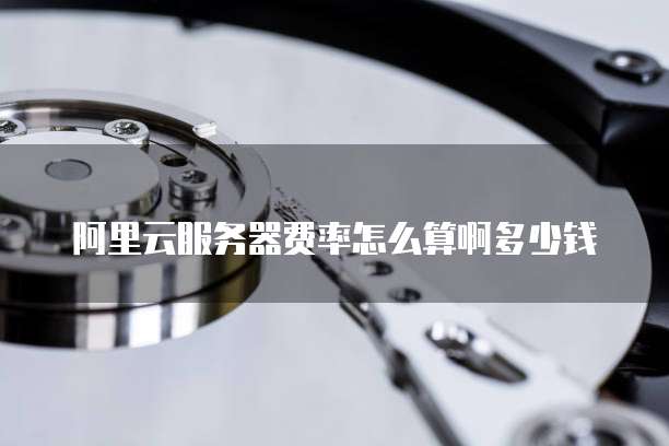 阿里云服务器费率怎么算啊多少钱