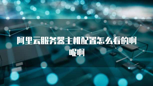 阿里云服务器主机配置怎么看的啊呢啊