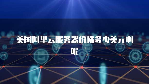 美国阿里云服务器价格多少美元啊呢