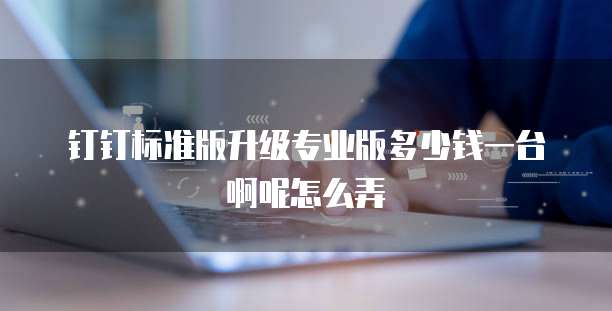 钉钉标准版升级专业版多少钱一台啊呢怎么弄