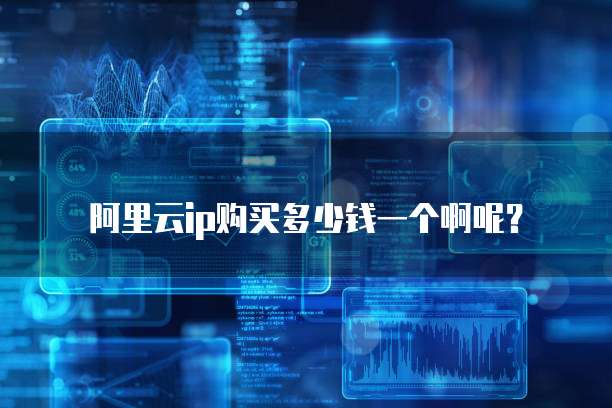 阿里云ip购买多少钱一个啊呢？