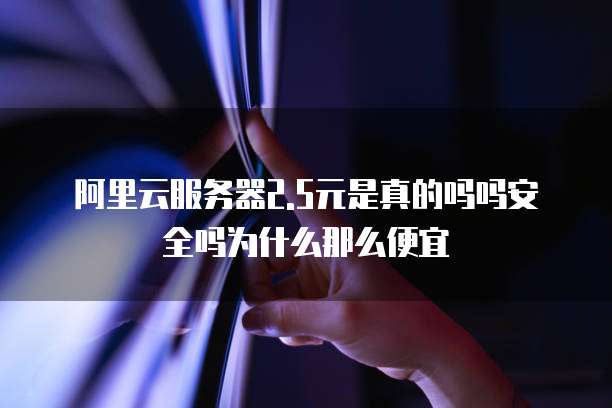 阿里云服务器2.5元是真的吗吗安全吗为什么那么便宜