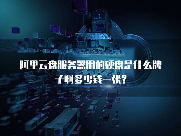阿里云盘服务器用的硬盘是什么牌子啊多少钱一张?