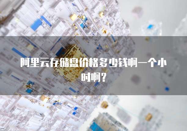 阿里云存储盘价格多少钱啊一个小时啊?