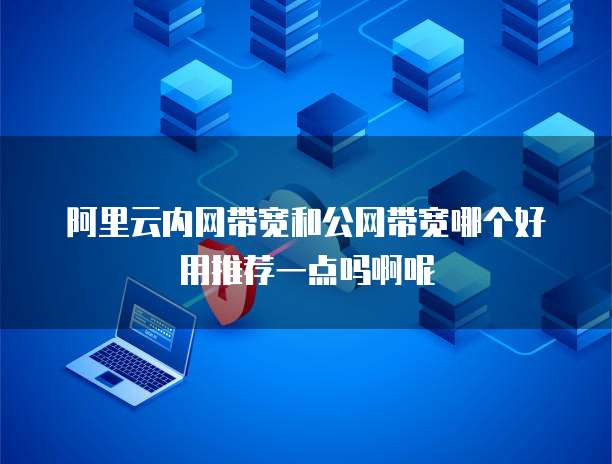 阿里云内网带宽和公网带宽哪个好用推荐一点吗啊呢