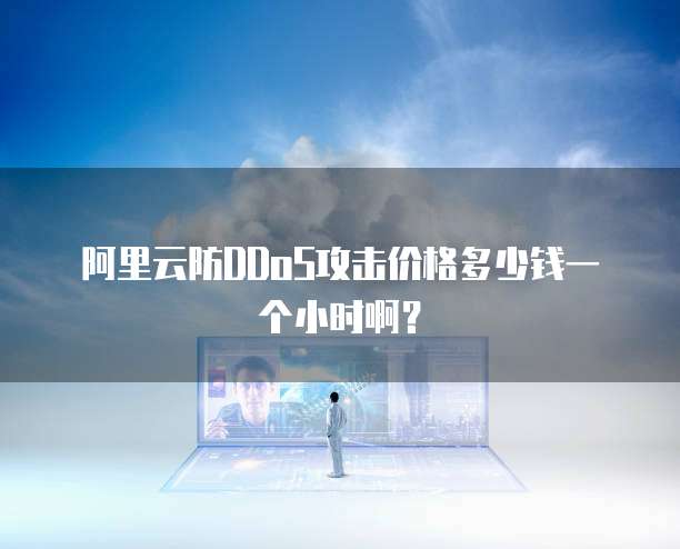 阿里云防DDoS攻击价格多少钱一个小时啊?