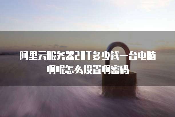 阿里云服务器20T多少钱一台电脑啊呢怎么设置啊密码
